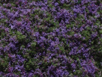 Geländematte Blumenfoliagen 10 x 15 x 2 cm 
