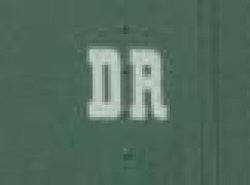 10 Decals (Naßschiebebilder) DR (weiß), Nenngröße TT