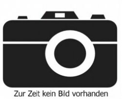 1 St.Drehgestell für Tillig Doppelstockwagen, Regiojet komplett- Spur TT